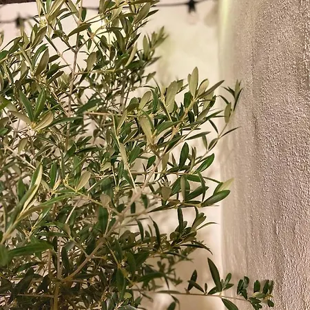 Le Santorini - Centre & Terrasse Privee * Bethune