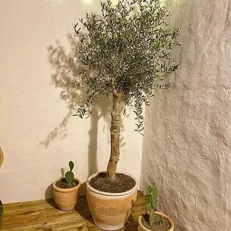 Apartment Le Santorini - Centre & Terrasse Privee *