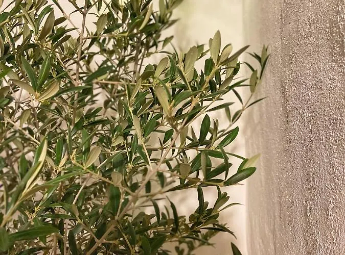 Le Santorini - Centre Ville&terrasse Privée * Béthune