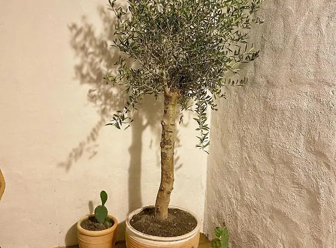 Appartamento Le Santorini - Centre Ville&terrasse Privée *